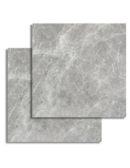 CALIA GRIS 61 X 61